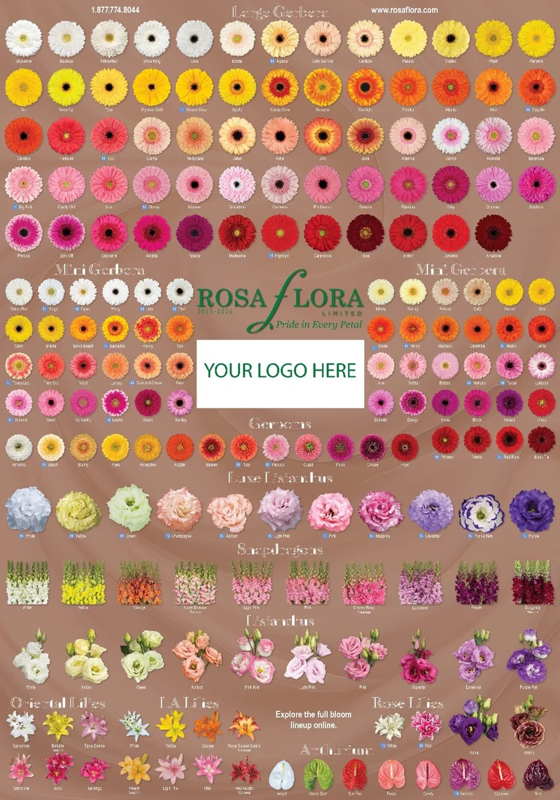 A sample of what a custom Rosa Flora poster looks like with a spot that ...